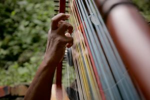 A musician plays the harp